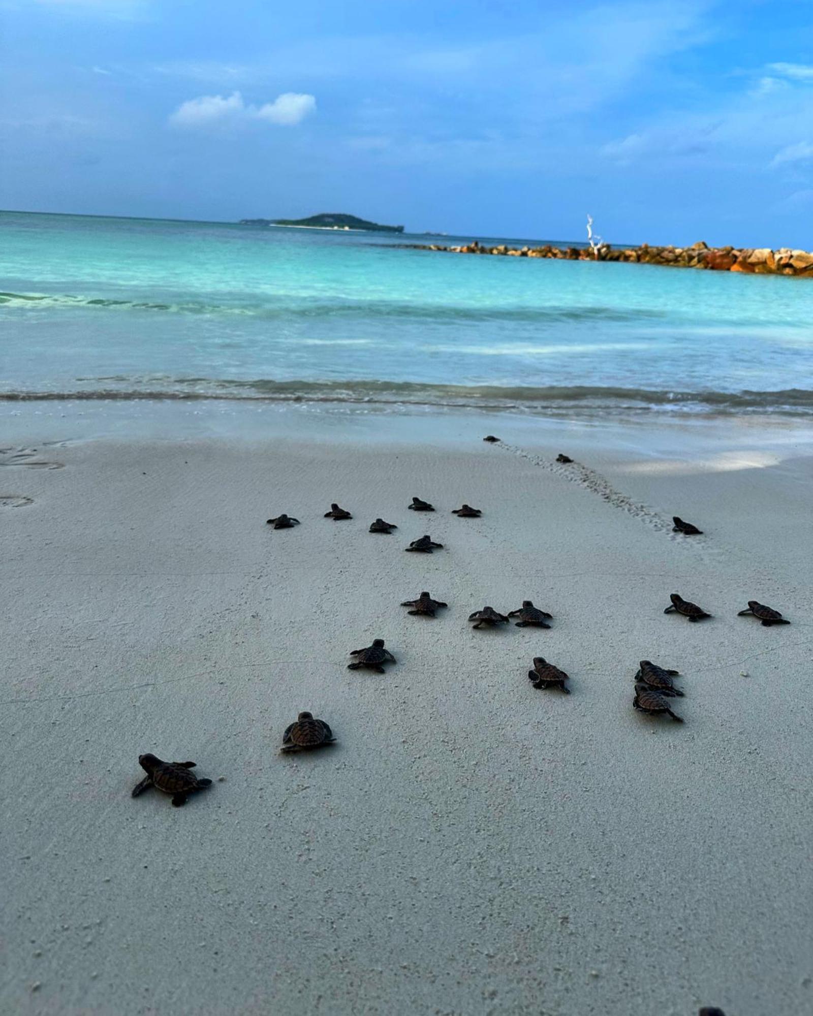 كاب جان ماري بيتش فيلاز Anse Kerlan المظهر الخارجي الصورة